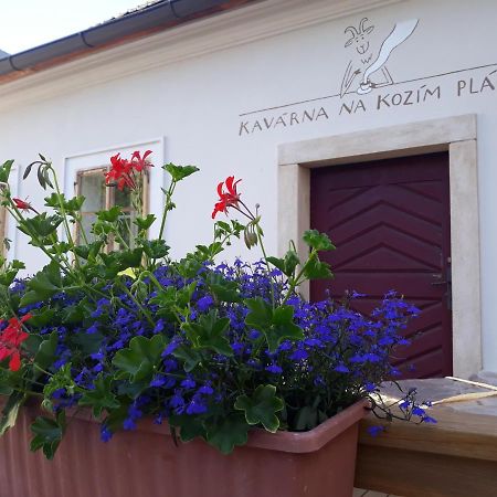 Cafe Kozi Placek Kutna Hora Exterior photo